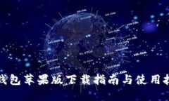 TP钱包苹果版下载指南与使