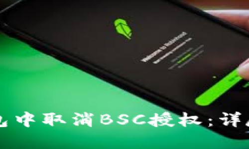 如何在TP钱包中取消BSC授权：详尽步骤与指南