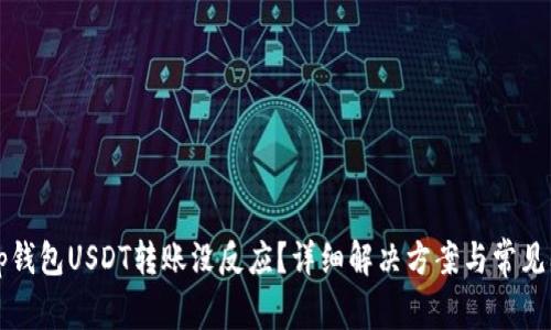  t p钱包USDT转账没反应？详细解决方案与常见问题