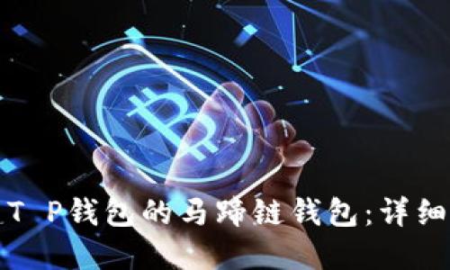 如何创建T P钱包的马蹄链钱包：详细步骤指南