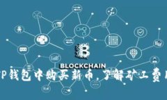 如何在TP钱包中购买新币，