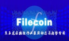 焦玉龙区块链行业最新动