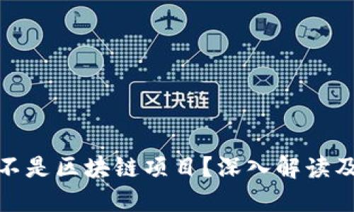 Pi币到底是不是区块链项目？深入解读及其未来潜力