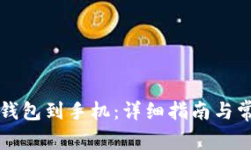 如何下载TP钱包到手机：详细指南与常见问题解答