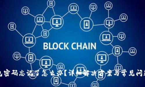 TP钱包密码忘记了怎么办？详细解决方案与常见问题解析