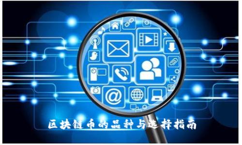 区块链币的品种与选择指南