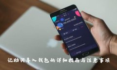 记助词导入钱包的详细指