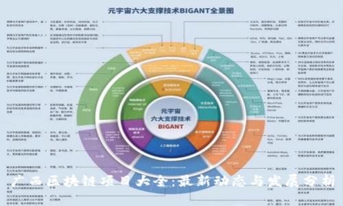 广西区块链项目大全：最新动态与发展分析