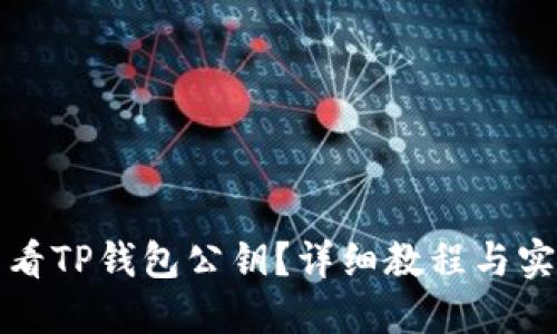 如何查看TP钱包公钥？详细教程与实用技巧