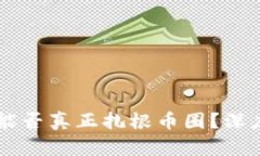 区块链技术能否真正扎根币圈？深度分析与展望