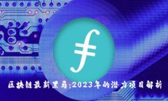 区块链最新黑马：2023年的潜力项目解析