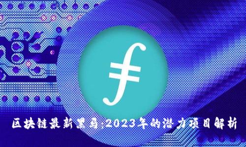 区块链最新黑马：2023年的潜力项目解析