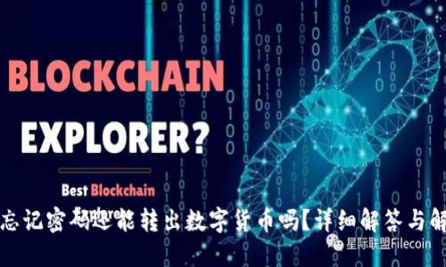 TP钱包忘记密码还能转出数字货币吗？详细解答与解决方案