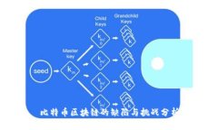 比特币区块链的缺陷与挑战分析